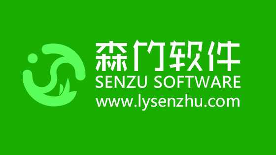 選擇森竹軟件服務(wù)，開發(fā)少走很多彎路！